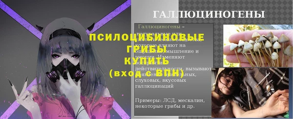 ГАЛЛЮЦИНОГЕННЫЕ ГРИБЫ Абинск