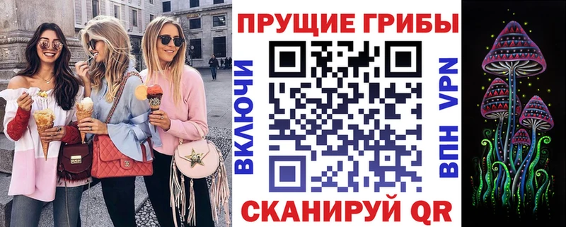 mega ССЫЛКА  Кингисепп  Псилоцибиновые грибы прущие грибы 