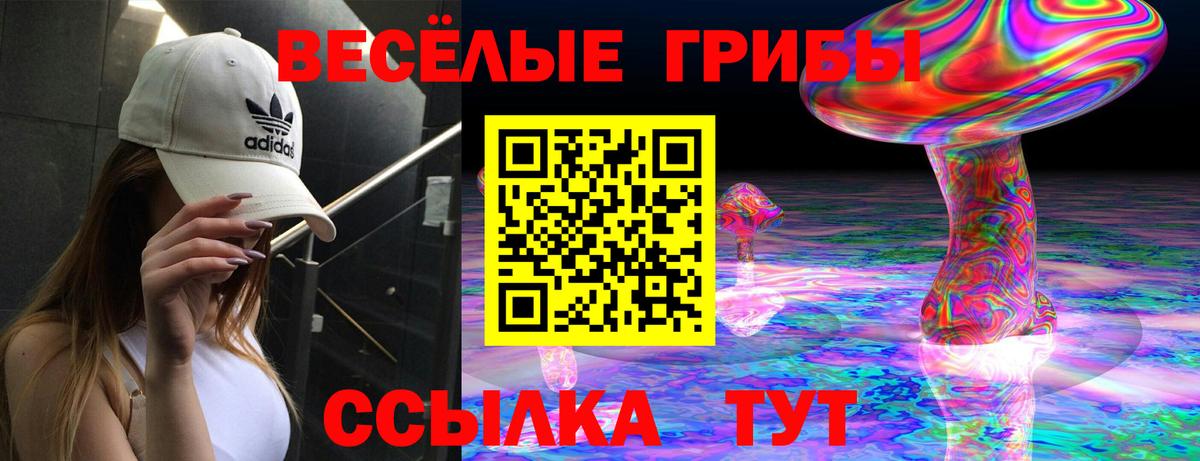Кингисепп  где продают   Вход с VPN  Псилоцибиновые грибы мухоморы 