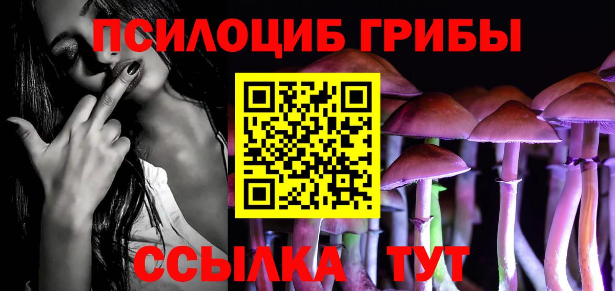 Галлюциногенные грибы Cubensis Кингисепп